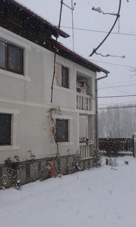 Pensiunea Margareta Sita Buzăului Exterior foto