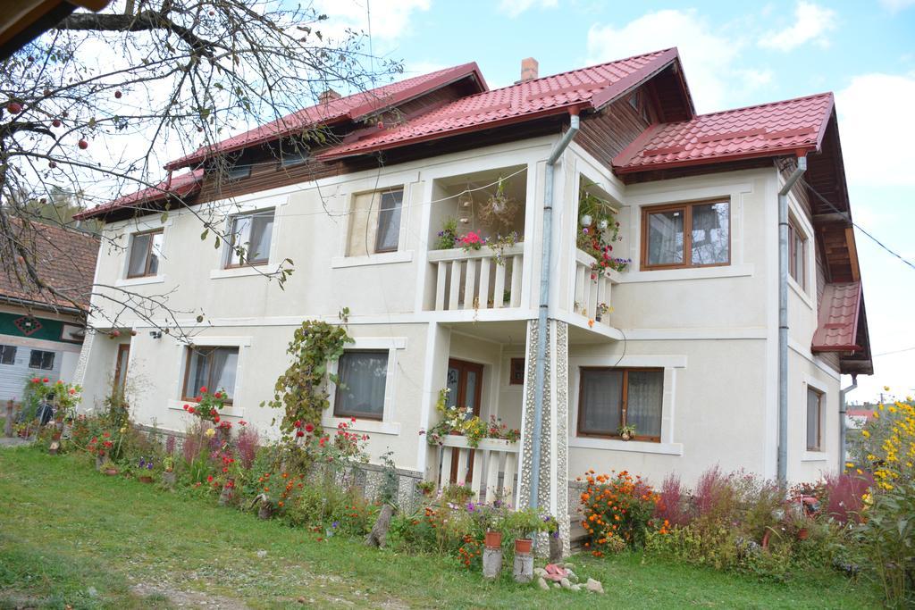 Pensiunea Margareta Sita Buzăului Exterior foto