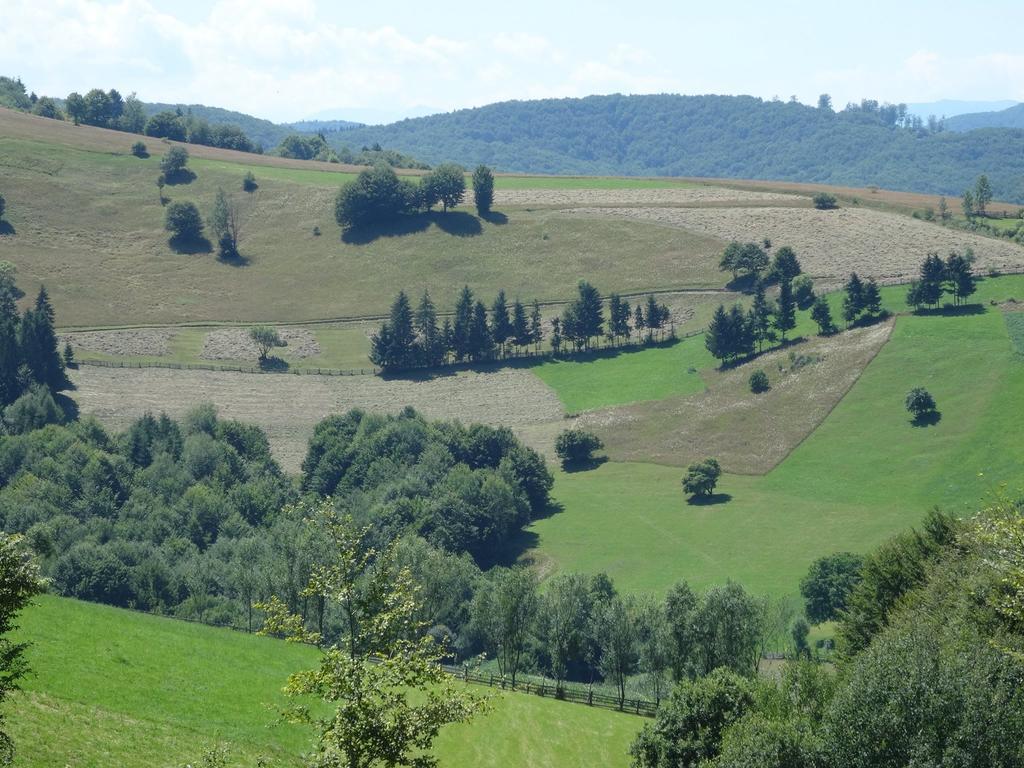 Pensiunea Margareta Sita Buzăului Exterior foto