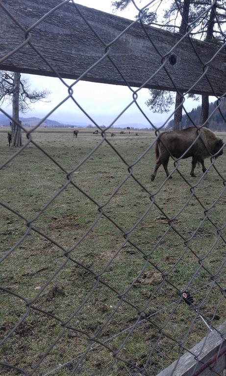 Pensiunea Margareta Sita Buzăului Exterior foto